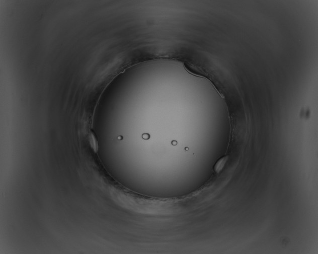 X0000091470044200708301902