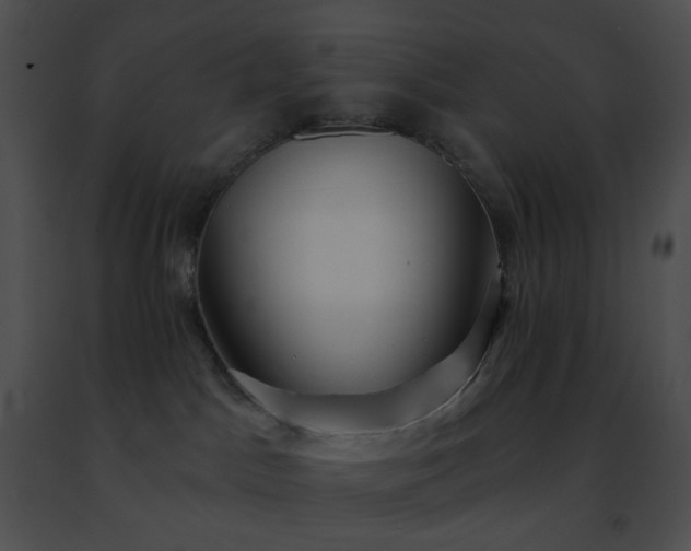 X0000091470045200708301902