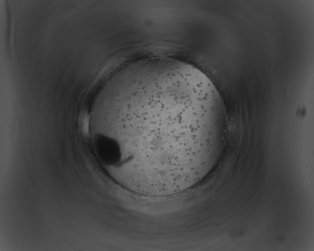 X0000091470046200708301902