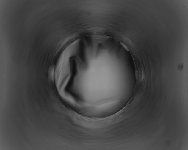 X0000091470047200708301902