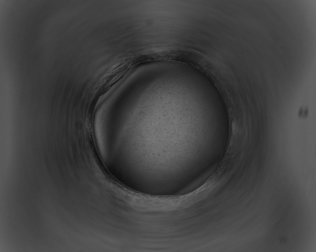 X0000091470048200708301902