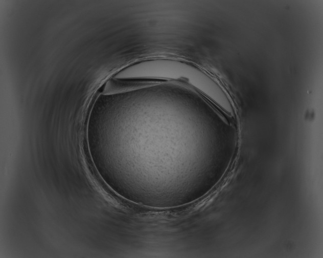 X0000091470049200708301901