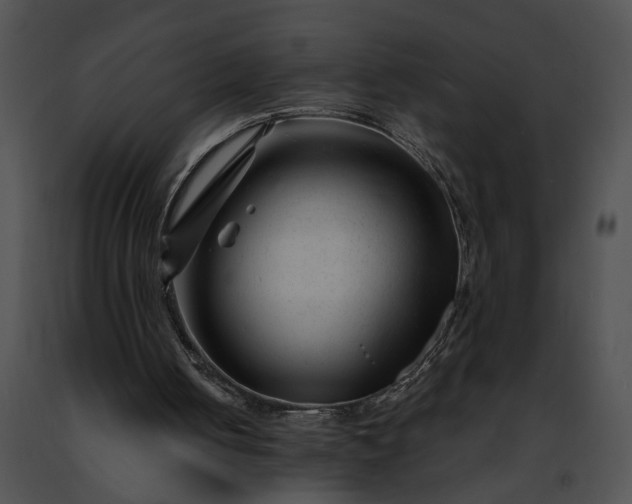 X0000091470050200708301901