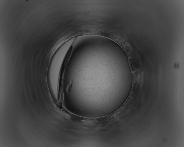 X0000091470051200708301901