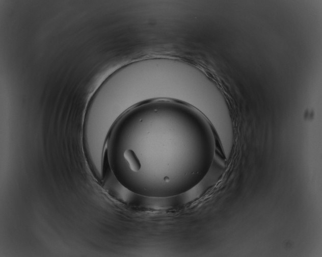 X0000091470052200708301902