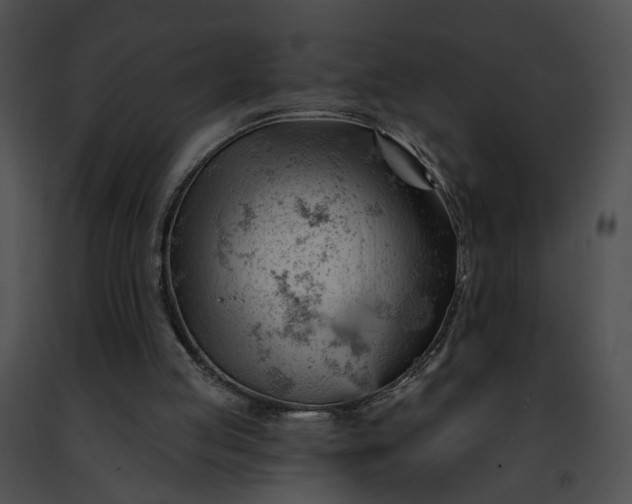 X0000091470053200708301902