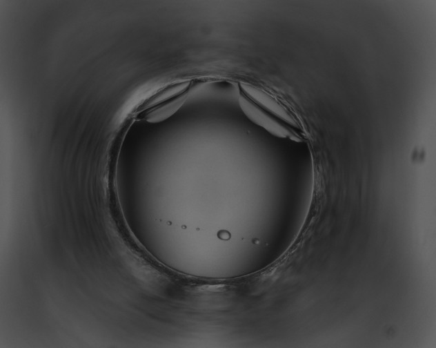 X0000091470054200708301902