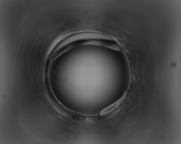 X0000091470056200708301902