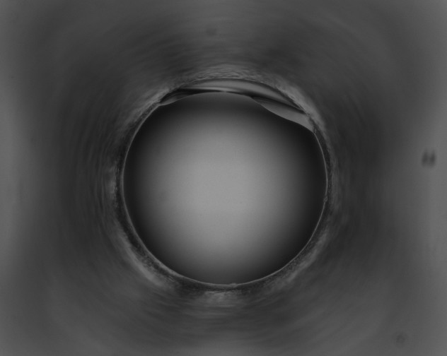 X0000091470057200708301902