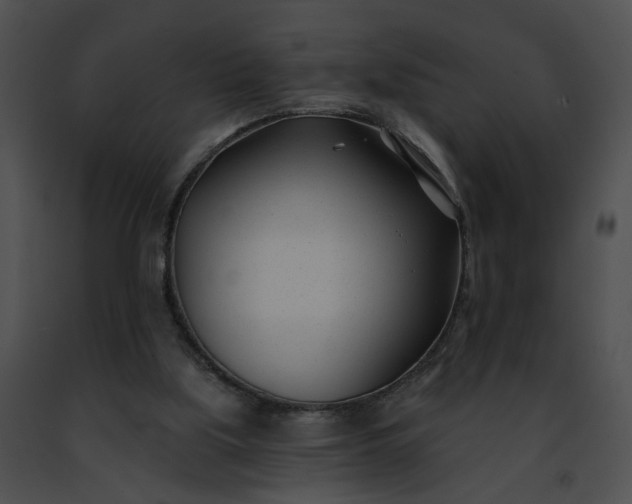 X0000091470059200708301902