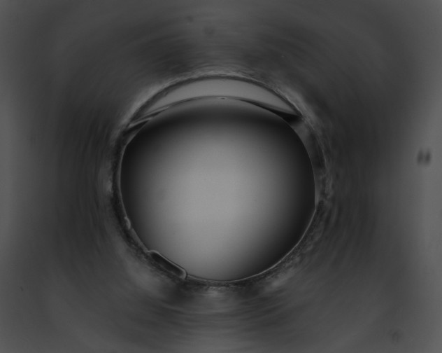 X0000091470060200708301902