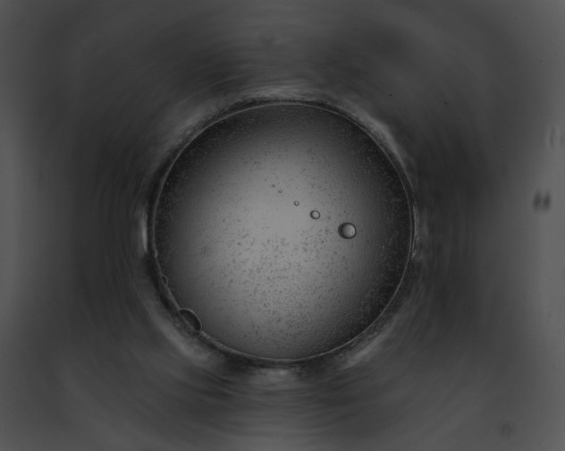 X0000091470061200708301902