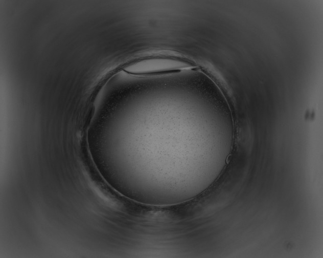 X0000091470063200708301902