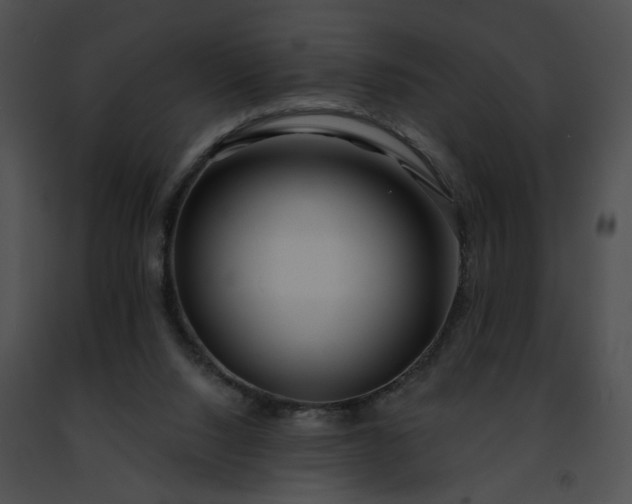 X0000091470064200708301902