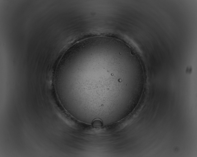 X0000091470065200708301902