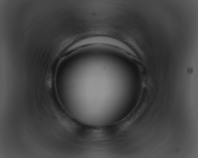 X0000091470068200708301902