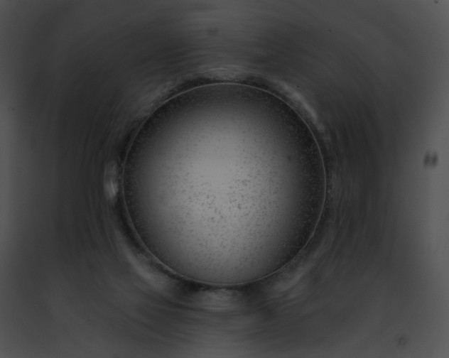 X0000091470069200708301902