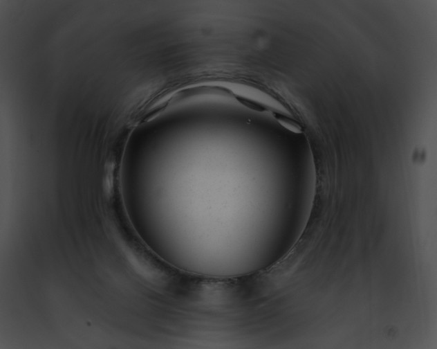 X0000091470070200708301902