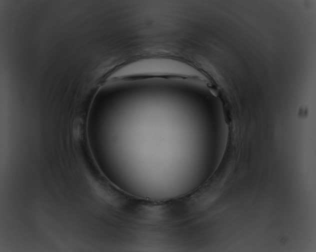 X0000091470071200708301902