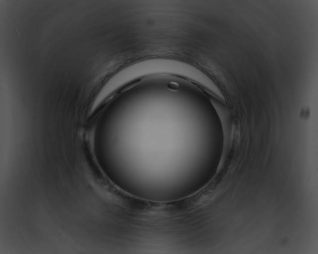 X0000091470072200708301902