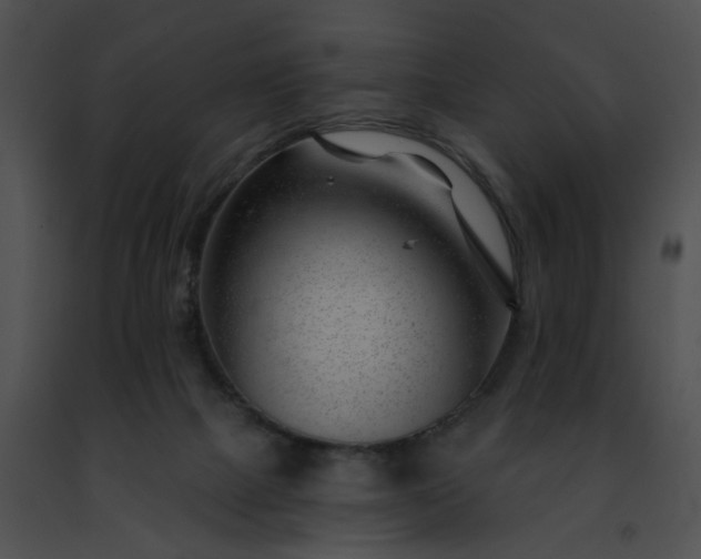 X0000091470073200708301902