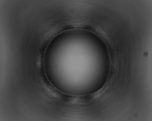 X0000091470074200708301902