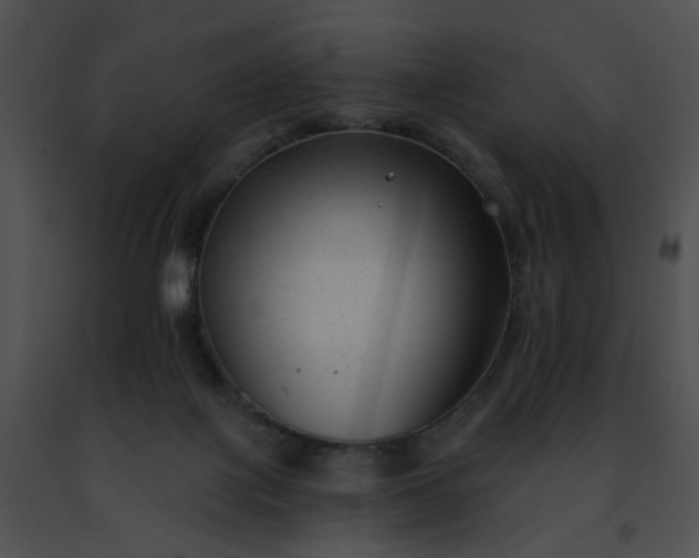 X0000091470075200708301902