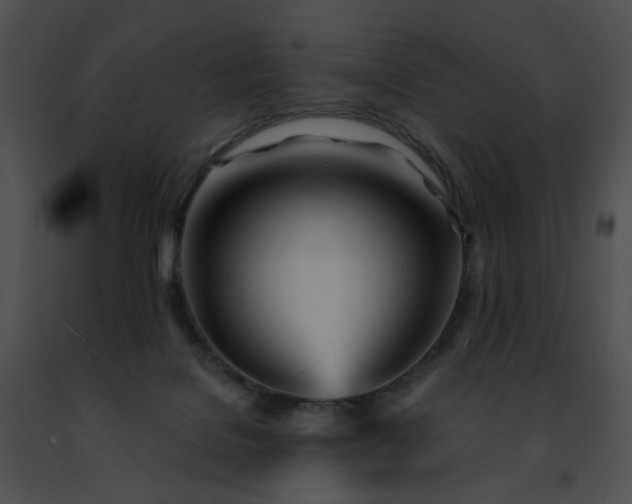 X0000091470076200708301902