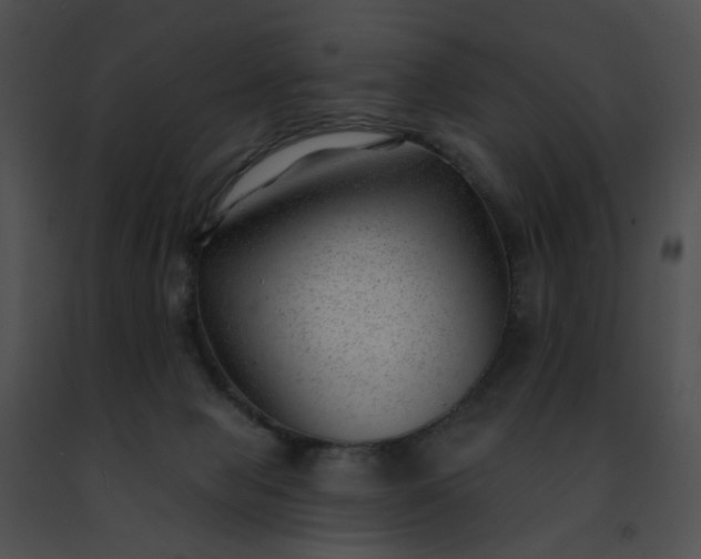 X0000091470077200708301902