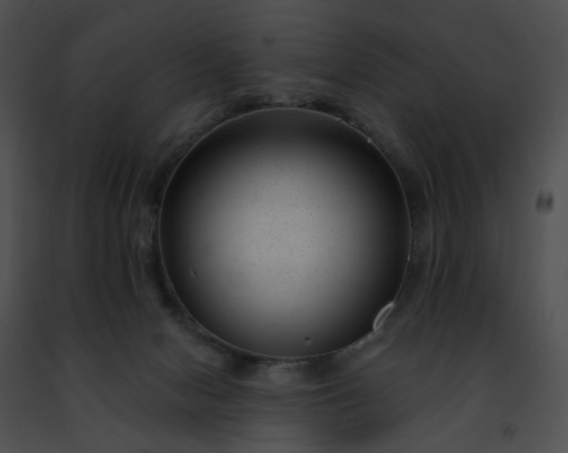 X0000091470078200708301902