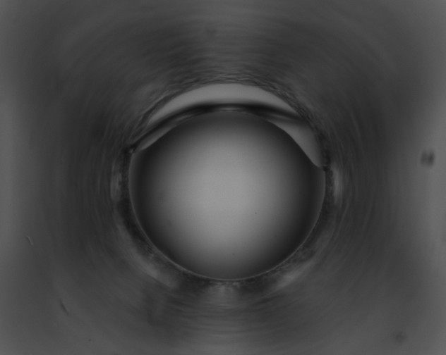 X0000091470080200708301902