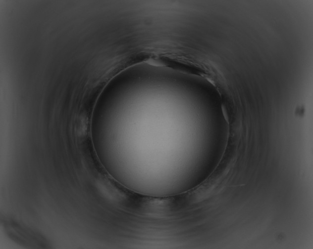 X0000091470081200708301902