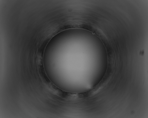 X0000091470083200708301902