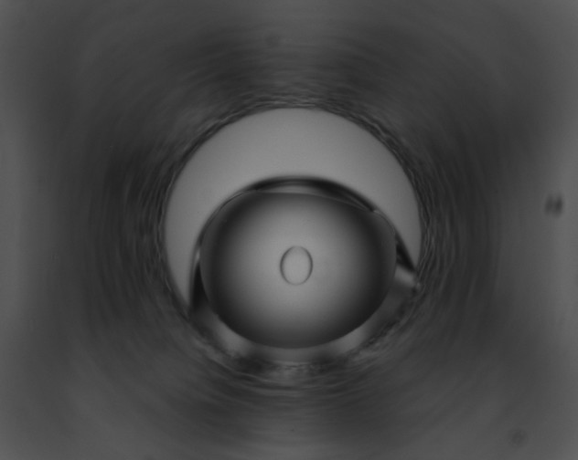 X0000091470084200708301902