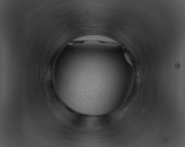 X0000091470085200708301902