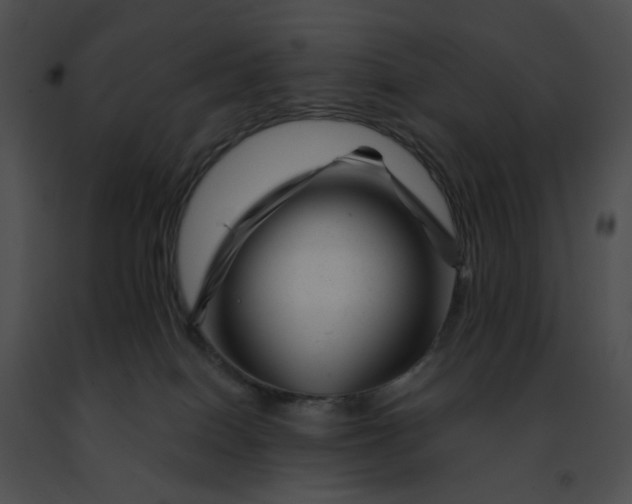 X0000091470086200708301902