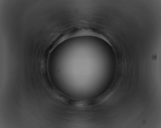 X0000091470088200708301902