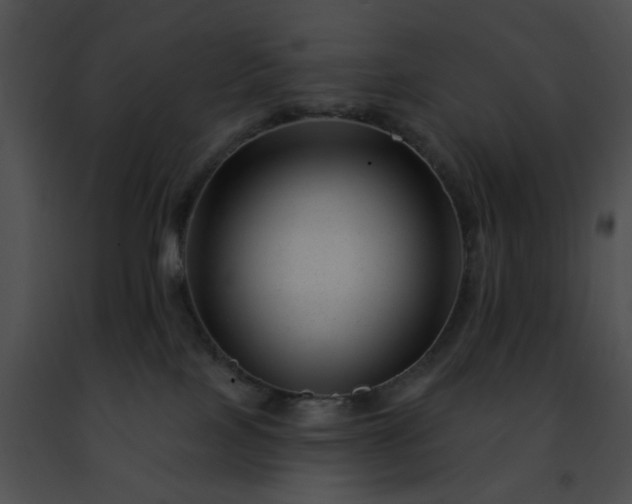 X0000091470089200708301902