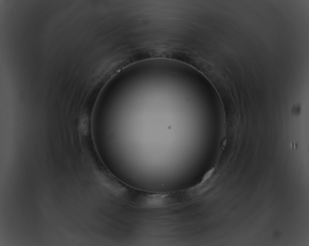 X0000091470090200708301902