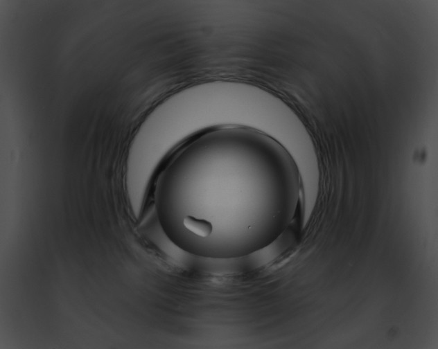 X0000091470092200708301902