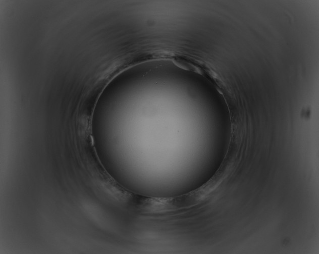 X0000091470093200708301902