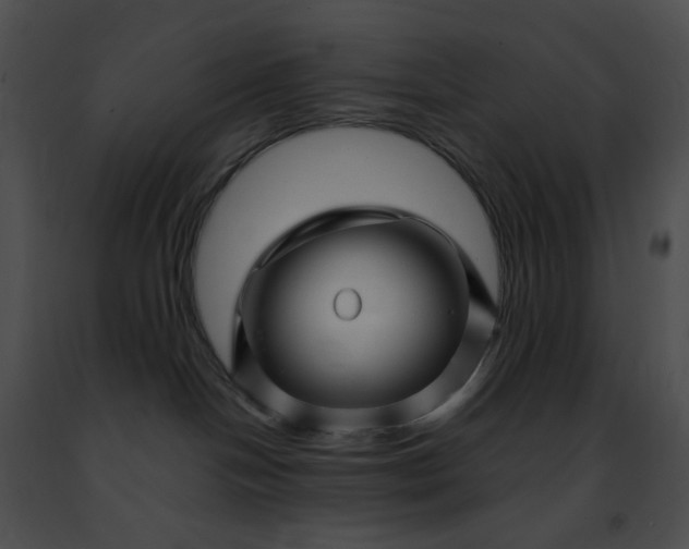 X0000091470094200708301902