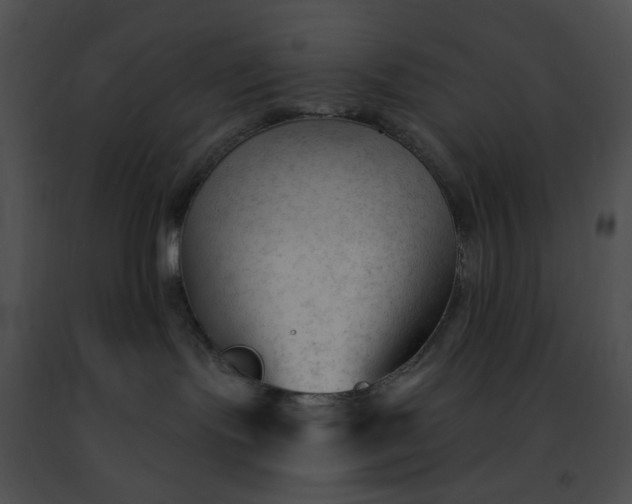 X0000091470095200708301902