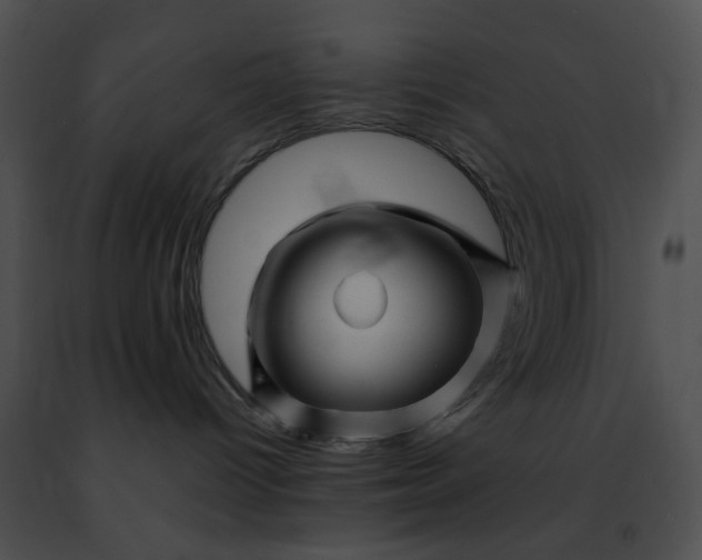 X0000091470096200708301902