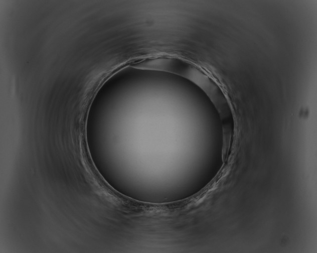 X0000091470097200708301901