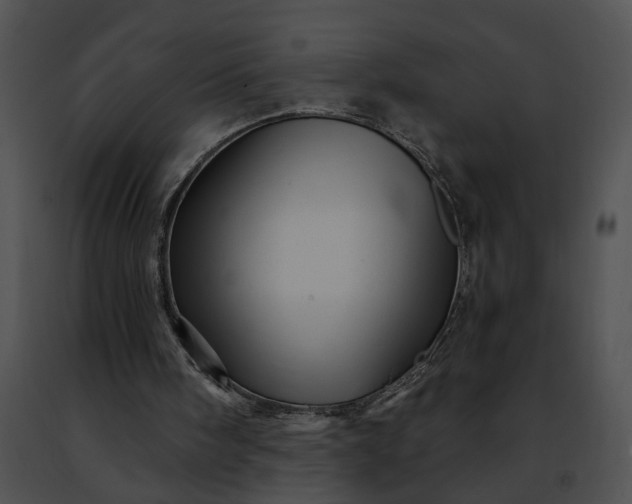 X0000091470098200708301901