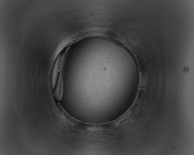 X0000091470099200708301901