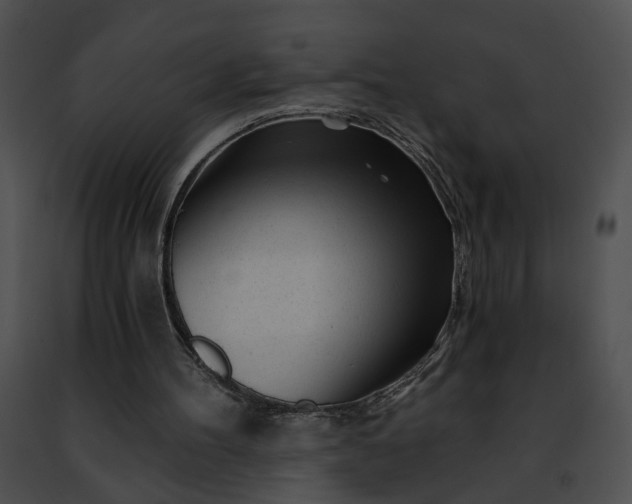 X0000091470100200708301901