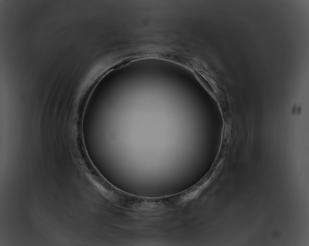 X0000091470101200708301901