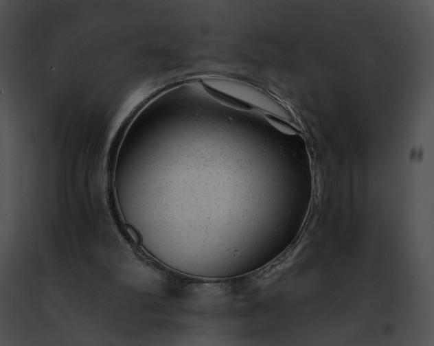 X0000091470102200708301901